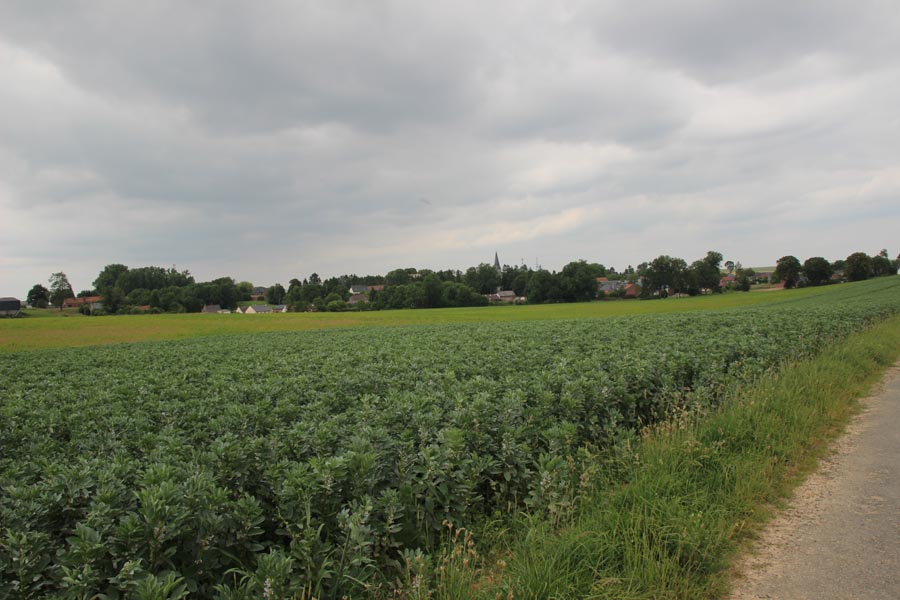 Lieramont