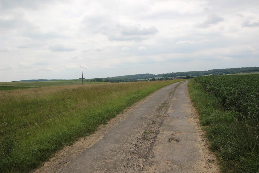 Lieramont